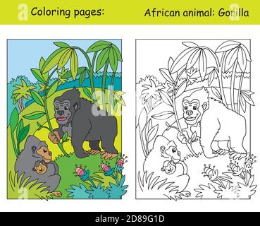 Vektor-Malvorlagen mit niedlichen Gorilla Familie in afrikanischen Bereich. Cartoon isoliert bunte Illustration. Färbung und farbige Bild von Gorilla. Für Spalte Stock Vektor