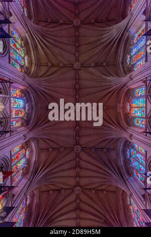 Auffallend farbige Buntglasfenster flankieren die zarten Steinrippen der spektakulären Gewölbedecke der Washington National Cathedral. Stockfoto