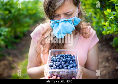 Bauernhof im Sommer Landschaft Garten und Frau junge Mädchen Kommissionierung Beeren aus Heidelbeerbusch in Maske während Coronavirus Ausbruch in 2020 Stockfoto