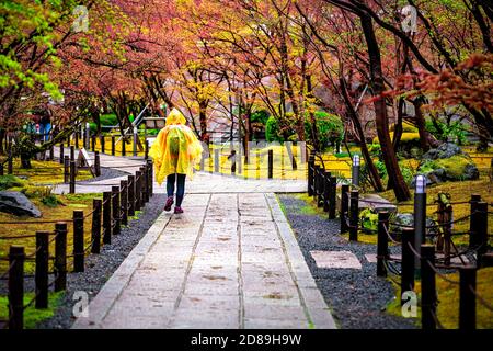 Kyoto, Japan Eikando Tempel Schrein und Frau in Poncho regnerisches Wetter zu Fuß durch Moos Garten im Frühjahr auf Straße Weg Zaun Stockfoto