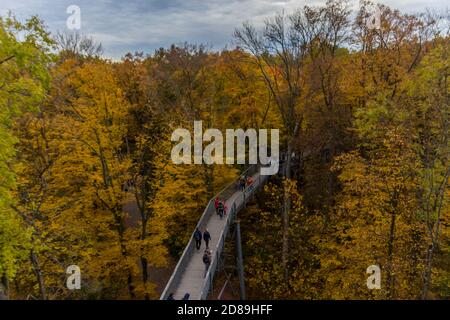 Herbststimmung im Nationalpark Hainich - Thüringen / Deutschland Stockfoto