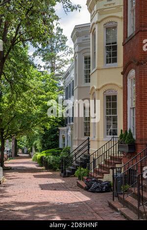 Eine bunte Reihe historischer Stadthäuser an der baumgesäumten 29th Street NW in Georgetown, Washington DC Stockfoto