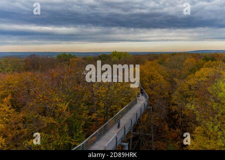 Herbststimmung im Nationalpark Hainich - Thüringen / Deutschland Stockfoto