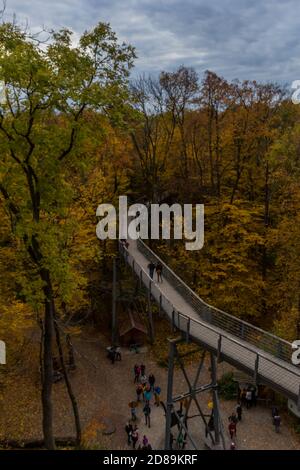 Herbststimmung im Nationalpark Hainich - Thüringen / Deutschland Stockfoto