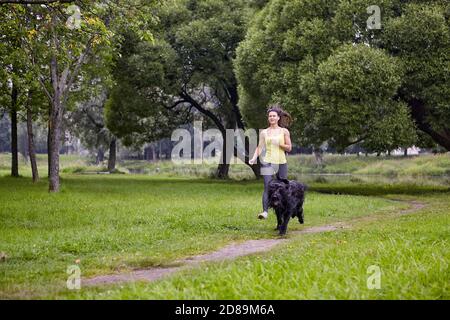 Briard und Frau laufen im Park unter freiem Himmel. Stockfoto