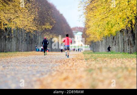 Hannover, Deutschland. Oktober 2020. Jogger wandern in einer Allee im Georgengarten an Bäumen mit herbstlich gefärbten Blättern vorbei. Quelle: Hauke-Christian Dittrich/dpa/Alamy Live News Stockfoto