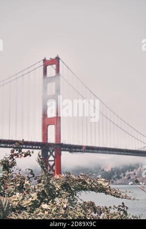 Vertikale Aufnahme der Golden Gate Bridge in San Francisco Stockfoto