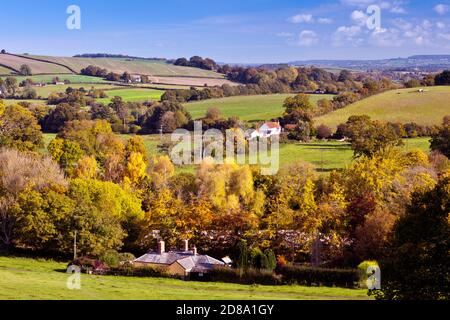 Herbstfarbe im Culm Valley vom Gelände des Killerton House, bei Exeter, Devon, England, Großbritannien Stockfoto