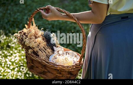 Cropped Ansicht Hand der Frau hält den Korb mit Blume An einem sonnigen Tag Stockfoto