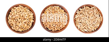Weizen, Hafer und Gerste Körner in Holzschale, isoliert auf weißem Hintergrund. Verarbeitetes Bio-Trockensamen-Set. Draufsicht. Stockfoto