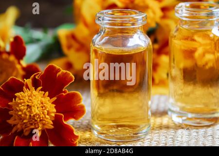 Die Tinktur der Blumen Tschernobrivzow im kleinen Glas. Selektiver Fokus.medizinisch Stockfoto