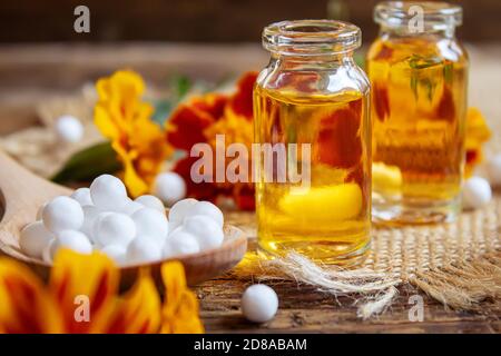 Die Tinktur der Blumen Tschernobrivzow im kleinen Glas. Selektiver Fokus.medizinisch Stockfoto