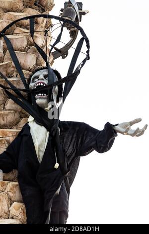 Halloween schreiende Zombie Monster Puppe Dekoration hängt an einem Palmenstamm in Dubai, Vereinigte Arabische Emirate. Stockfoto