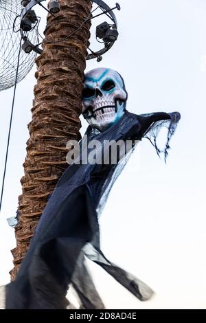 Halloween schreiende Skelett Puppe Dekoration hängt an einem Palmenstamm in Dubai, Vereinigte Arabische Emirate. Stockfoto