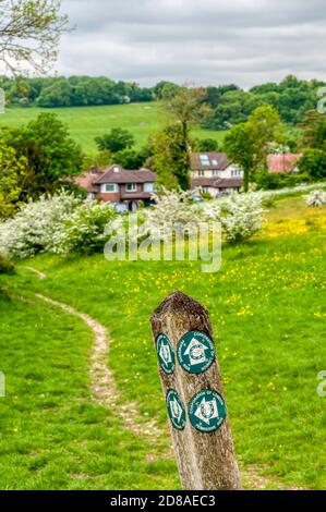 Ein freizügiger Brückenweg auf Farthing Down. Teil des Londoner Grüngürtels. Stockfoto