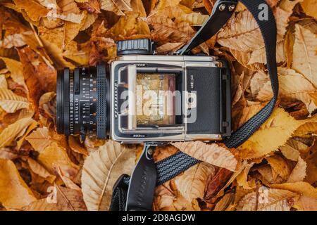 Die schöne Vintage Mittelformat-Filmkamera Hasselblad 5003CW Stockfoto