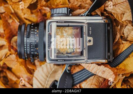 Die schöne Vintage Mittelformat-Filmkamera Hasselblad 5003CW Stockfoto