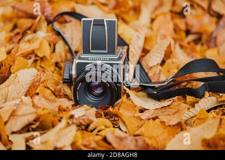 Die schöne Vintage Mittelformat-Filmkamera Hasselblad 5003CW Stockfoto