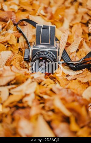 Die schöne Vintage Mittelformat-Filmkamera Hasselblad 5003CW Stockfoto