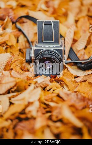 Die schöne Vintage Mittelformat-Filmkamera Hasselblad 5003CW Stockfoto