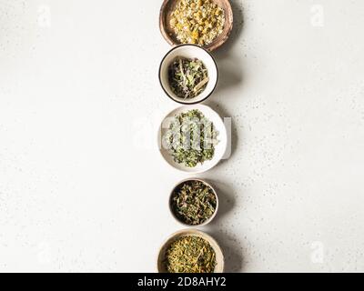 Verschiedene trockene gesunde Kräuter, Pflanzen Blumen zum Brauen Kräutertee in Schalen auf grauem Hintergrund. Draufsicht. Speicherplatz kopieren Stockfoto
