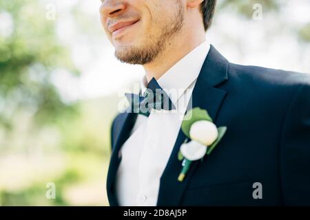 Bräutigam lächelt im Hochzeitsanzug mit Fliege und Boutonniere Stockfoto