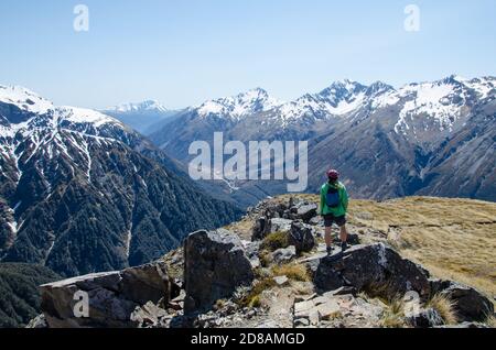 Weibchen in Avalanche Peak, Arthur's Pass, Neuseeland Stockfoto