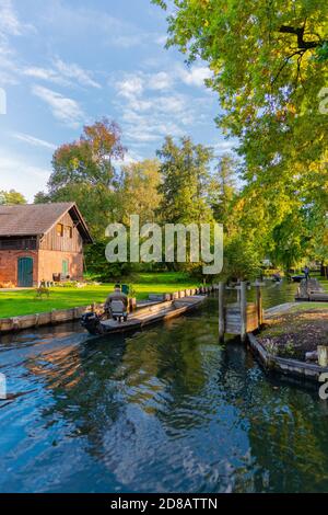 Lehde Gemeinde, Spree Forrest Oberspreewald, Brandenburg, Ostdeutschland, Europa Stockfoto