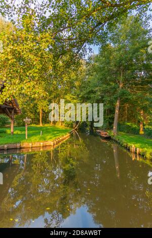 Lehde Gemeinde, Spree Forrest Oberspreewald, Brandenburg, Ostdeutschland, Europa Stockfoto