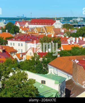 Altstadtarchitektur von Tallinn mit Fernsehturm im Hintergrund. Estland Stockfoto