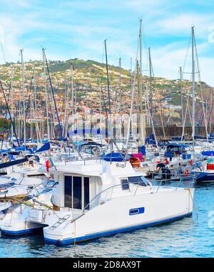 Marina mit weißen Yachten und Motorbooten, Funchal Stadtbild auf Hügel im Hintergrund, Madeira, Portugal Stockfoto