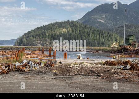 Logs Rampe. Holzstämme aus Kiefernwäldern in einem Haufen im Dorf Sayward in Kanada mit Bergen im Hintergrund gestapelt. Selektiver Fokus. Stockfoto