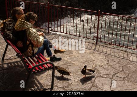 Ein Paar füttert Enten am Ufer des Comer Sees Stockfoto