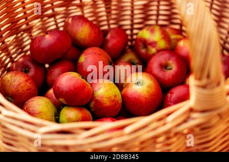 Apfelkorb Stockfoto