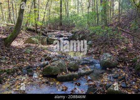 Ein felsiger Bach mit klarem Wasser fließt durch einen sonnendurchfluteten Wald. Stockfoto