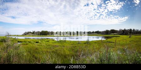 Panoramablick auf einen Gezeitenteich im Island Beach State Park, New Jersey, USA Stockfoto