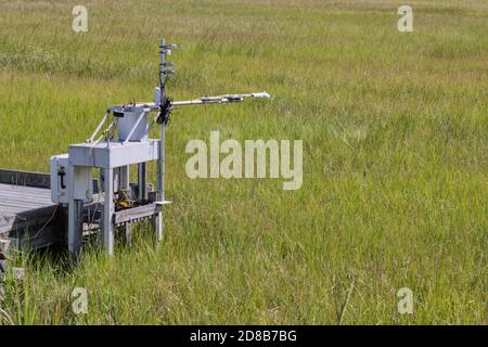 Automatisiertes Wetter und ökologisches Rechenzentrum Solarmodul, St. Jones Reserve, Dover, DE. Stockfoto