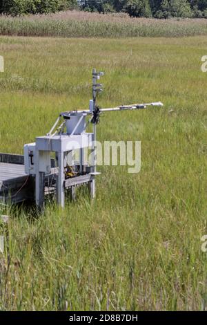 Automatisiertes Wetter und ökologisches Rechenzentrum Solarmodul, St. Jones Reserve, Dover, DE. Stockfoto