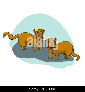 Zwei Frettchen - männlich und weiblich. Tiere Illustration in flachen Stil Stock Vektor