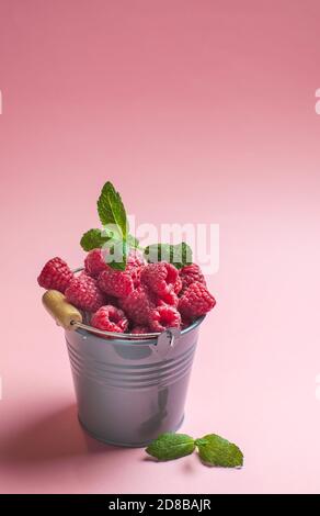 Reife Himbeeren in einem grauen Eimer auf rosa Hintergrund serviert Als gesundes Dessert der Saison Stockfoto