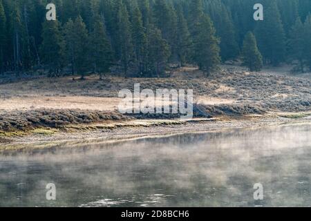 Nebliger Morgen frostiger Sonnenaufgang entlang des Yellowstone River in Hayden Tal im Nationalpark Stockfoto