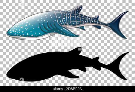 Walhai mit seiner Silhouette auf transparentem Hintergrund Illustration Stock Vektor