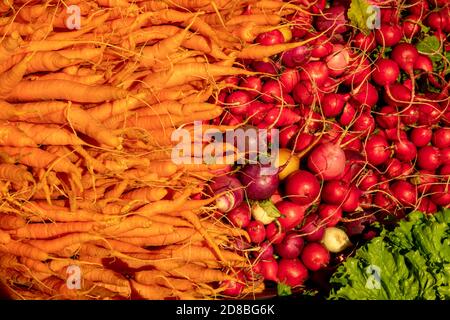 Karotten und Radieschen, Farmer's Market, E USA, von James D Coppinger/Dembinsky Photo Assoc Stockfoto