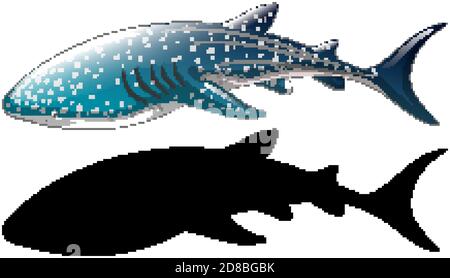 Walhai Zeichen und seine Silhouette auf weißem Hintergrund Illustration Stock Vektor