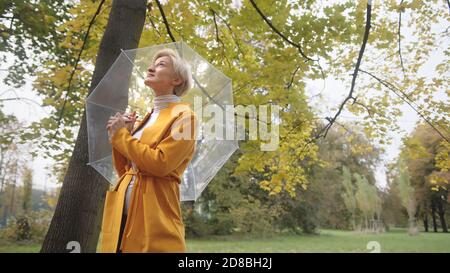 Junge modische kaukasische Frau mit transparenten Schirmen, die sich im Herbst im Park umsieht. Hochwertige Fotos Stockfoto