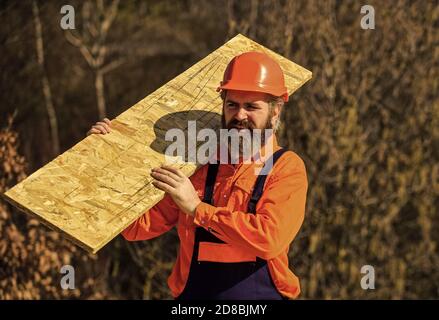 Gerüste einrichten. Montieren Sie temporäre Geräte oder Strukturen. Renovierungsservice. Mann trägt Faserplatte. Holzwerkstoff. Faserplatten im Wohn- und Geschäftsbau. Stockfoto