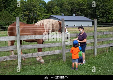 Tiere und Menschen interagieren auf der Farm in Sturgeon Bay, Wisconsin, USA. Stockfoto