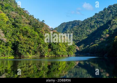 Regenwaldhänge am Barron River unterhalb der Barron River Falls, Cairns, North Queensland, Australien Stockfoto