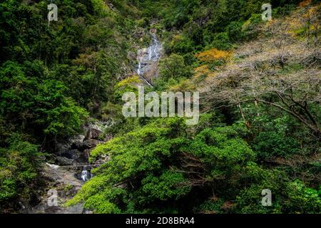 Surprise Creek Falls in der Barron River Gorge in der Nähe von Cairns, North Queensland, Australien Stockfoto