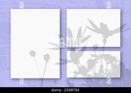 Mehrere horizontale und vertikale Blätter aus weißem strukturiertem Papier vor einem rosa Wandhintergrund. Mockup mit einer Überlagerung von Pflanzenschatten. Tageslicht Stockfoto